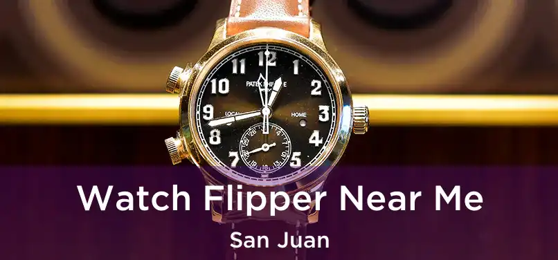  Watch Flipper Near Me San Juan